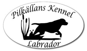 Pilkällans Kennel logo